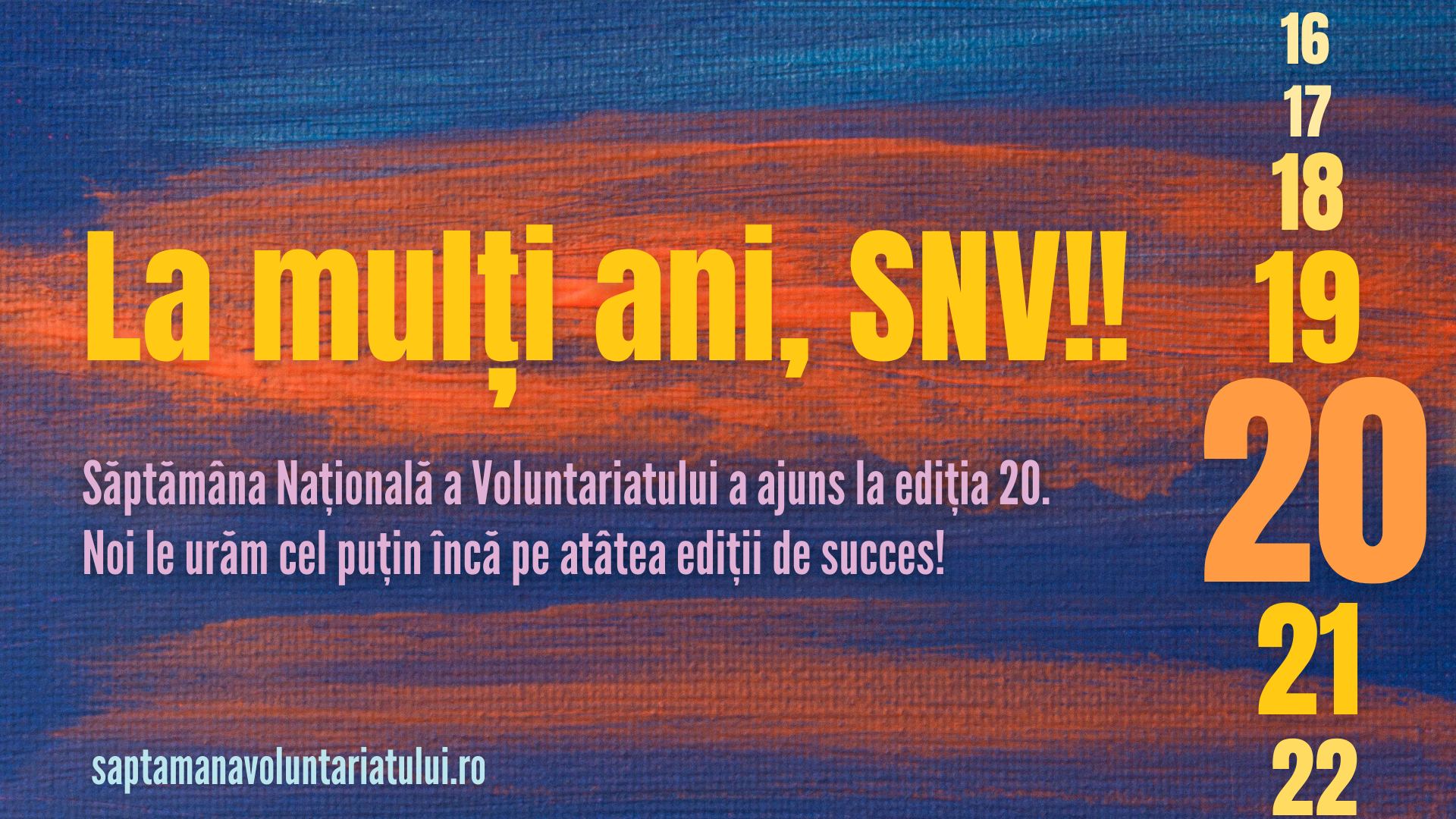Read more about the article 20 de ani de SNV