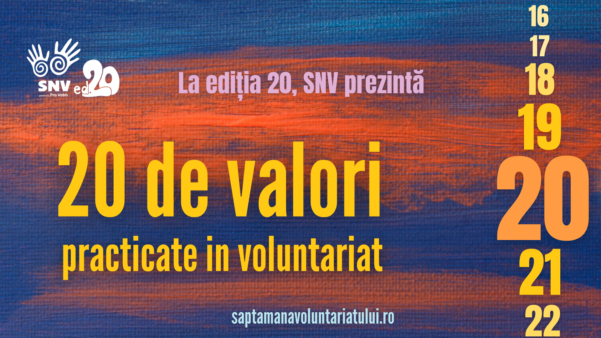 Read more about the article 20 de.. valori practicate în voluntariat