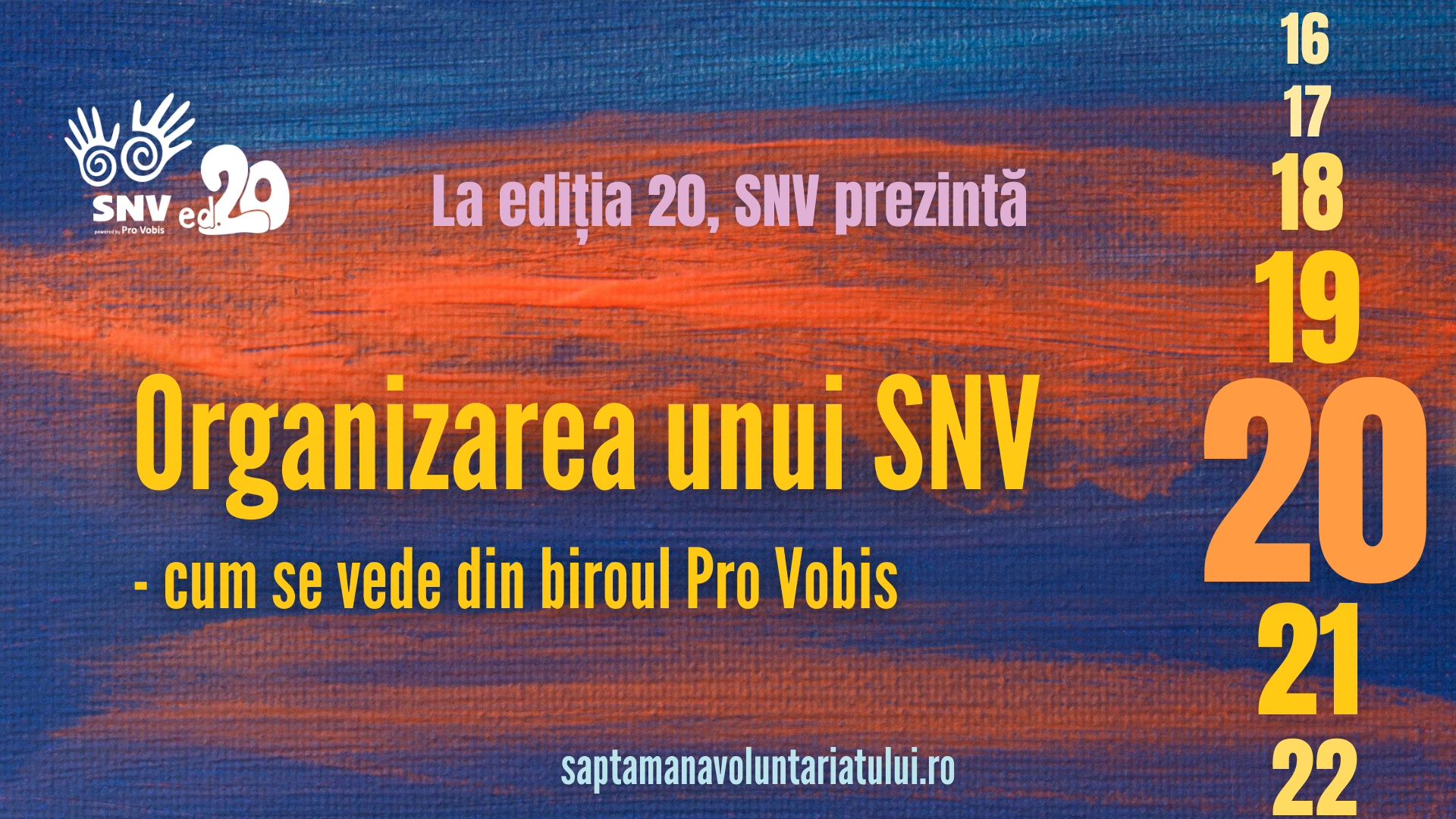 Read more about the article Organizarea unui SNV